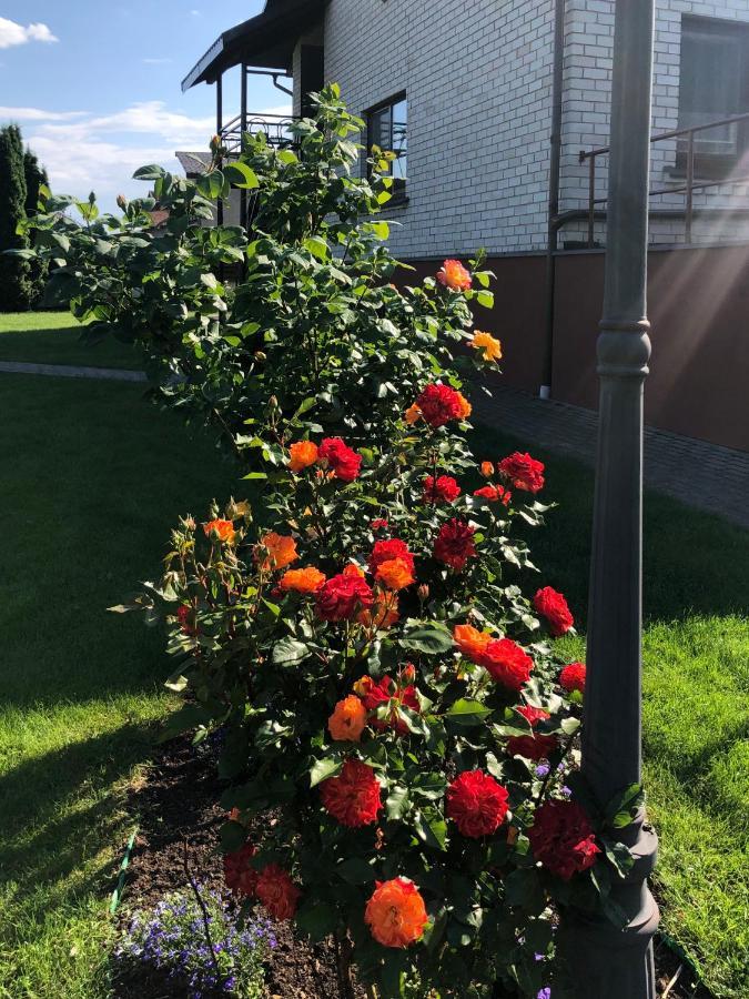 Arvydo Gylio Sodyba Ignalina Exterior photo